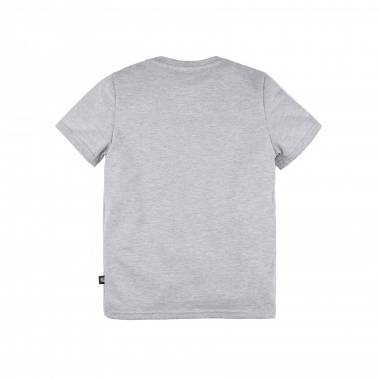 T-shirt Sport for boy, gray