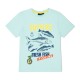 Shirt with print for boy blue